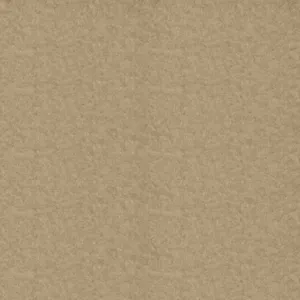 Anti Pill Warm Fleece Fabric 58in Wide 1yd Cut Khaki Tan