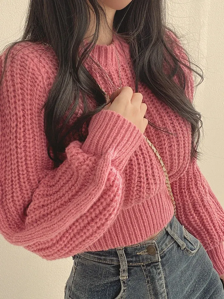 Chic Crop Knit Korean-Inspired Jumper