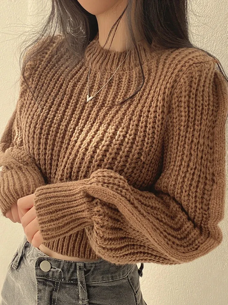 Chic Crop Knit Korean-Inspired Jumper