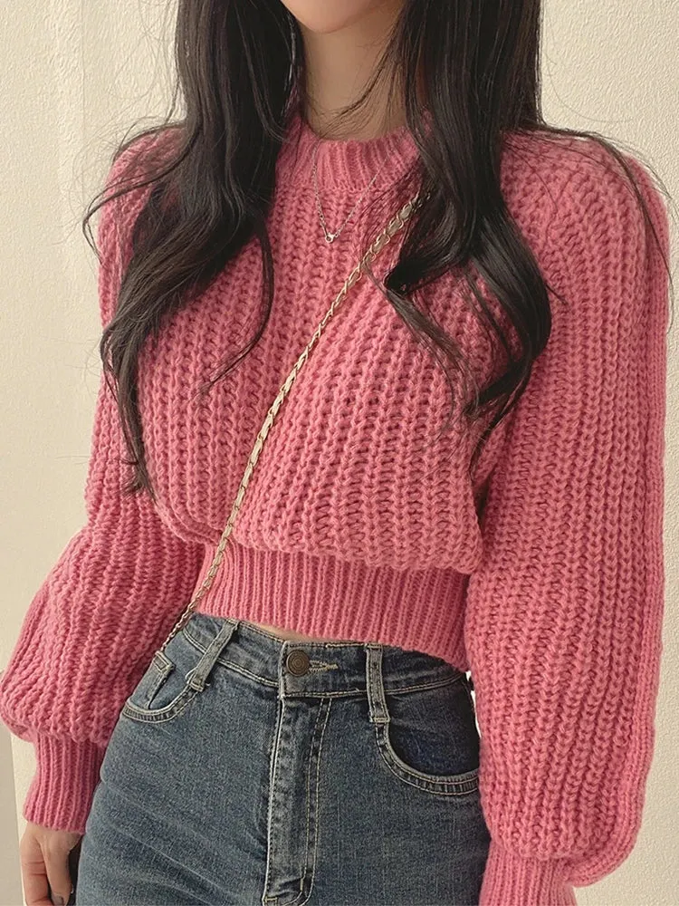 Chic Crop Knit Korean-Inspired Jumper