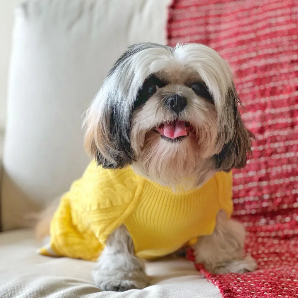 Dogobow Sun Kissed Knit Sweater for Dogs and Cats (Yellow) (Get a Bow Free)