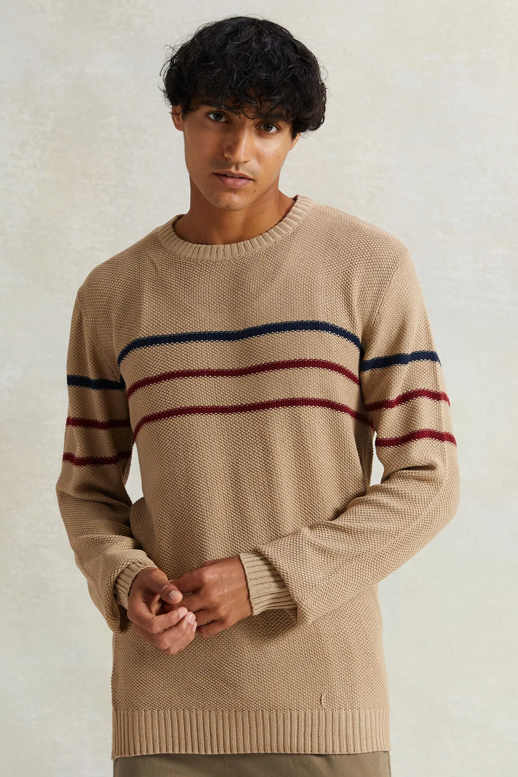 Men Beige Striped Pullover