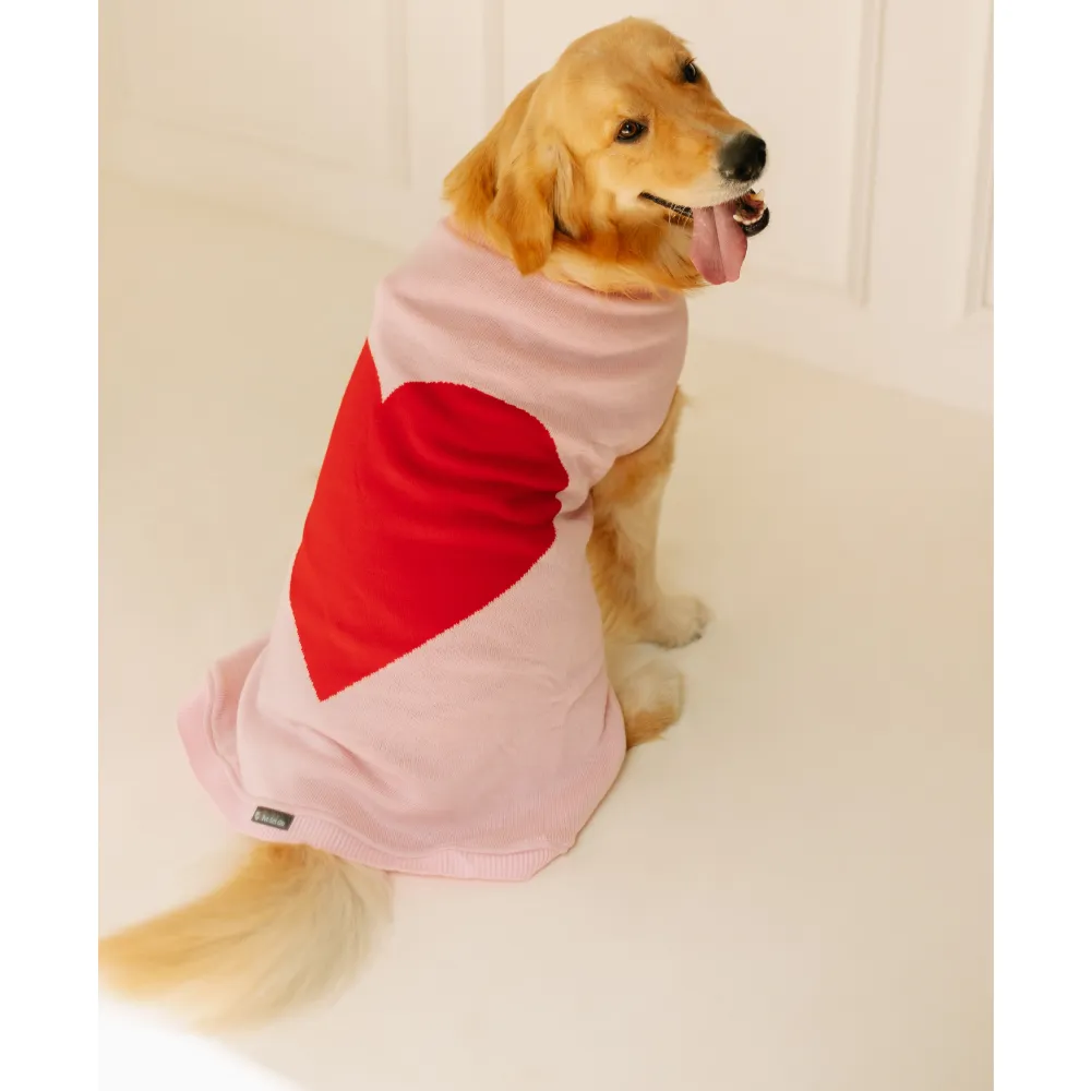 Pet Set Go Ira’s Sweater for Dogs and Cats (Red & Pink)