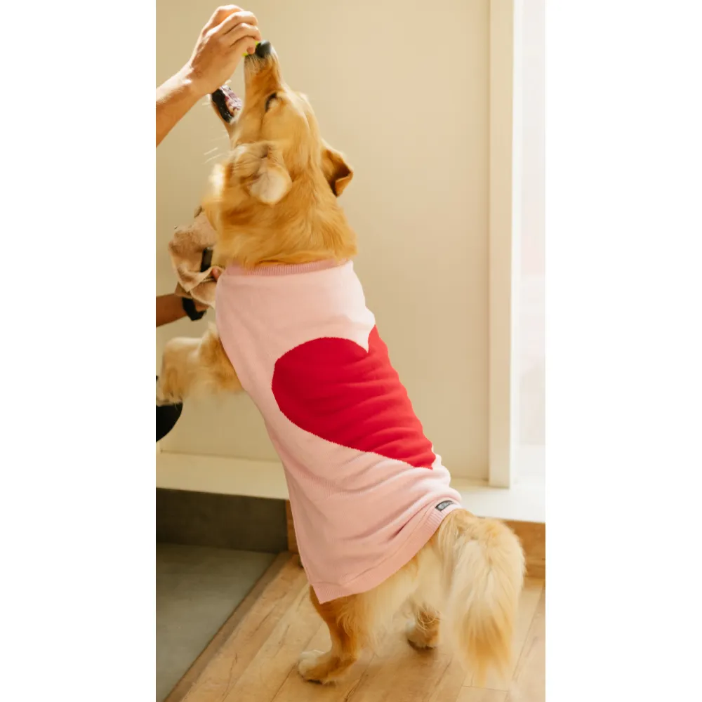 Pet Set Go Ira’s Sweater for Dogs and Cats (Red & Pink)