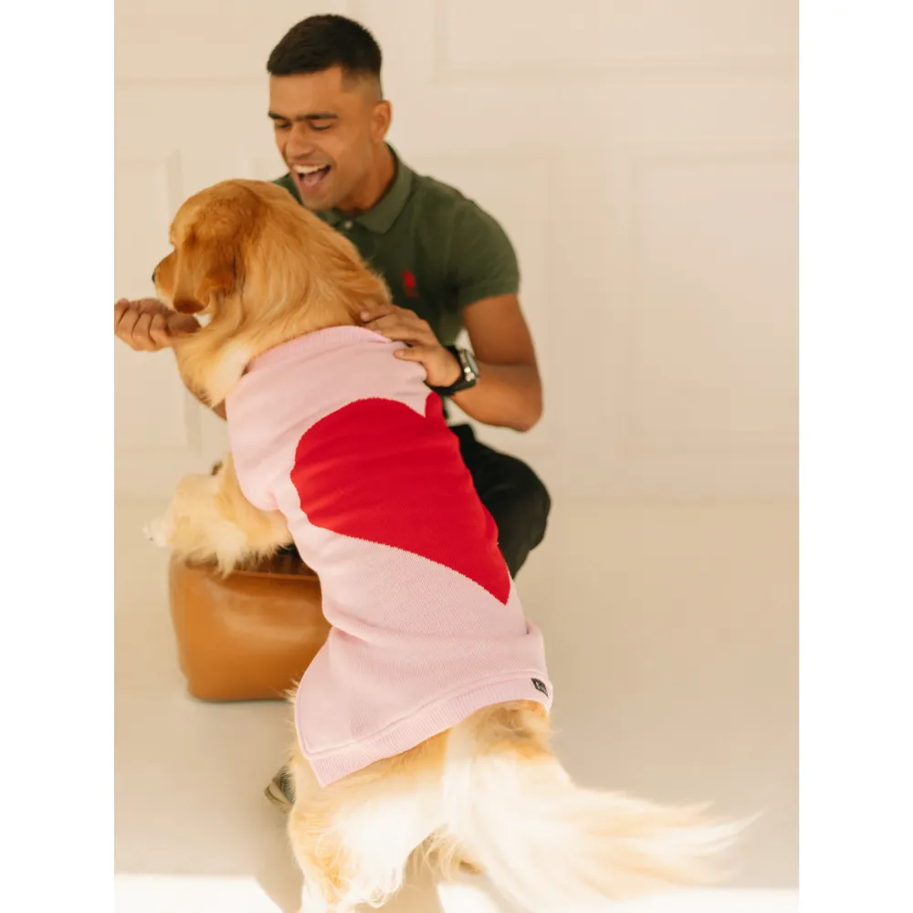 Pet Set Go Ira’s Sweater for Dogs and Cats (Red & Pink)