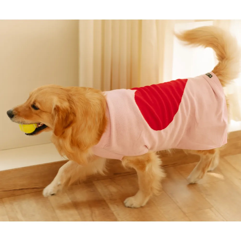 Pet Set Go Ira’s Sweater for Dogs and Cats (Red & Pink)