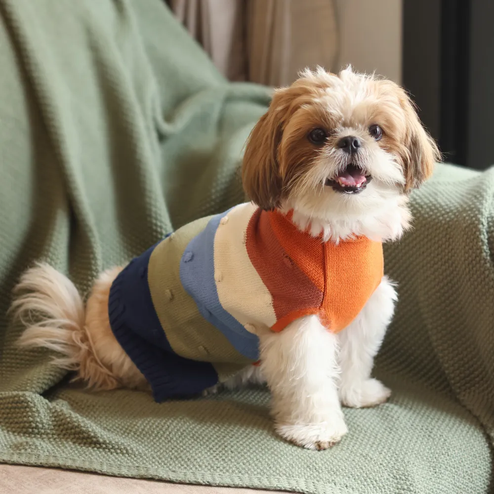 Pet Set Go Multi Coloured Sweater for Dogs