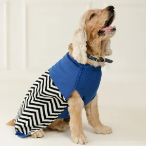 Pet Set Go Raisin’s Sweater for Dogs and Cats (Blue & Black)